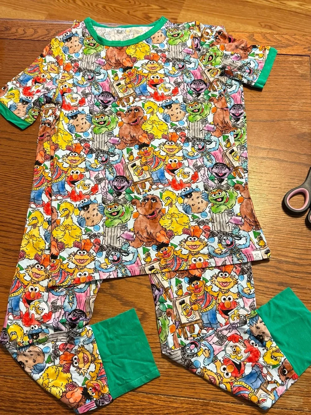 Little Snuggles Boys Girls Size 10T Sesame Street Bamboo Two Piece Pajamas New